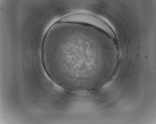 X0000075831007200609221635