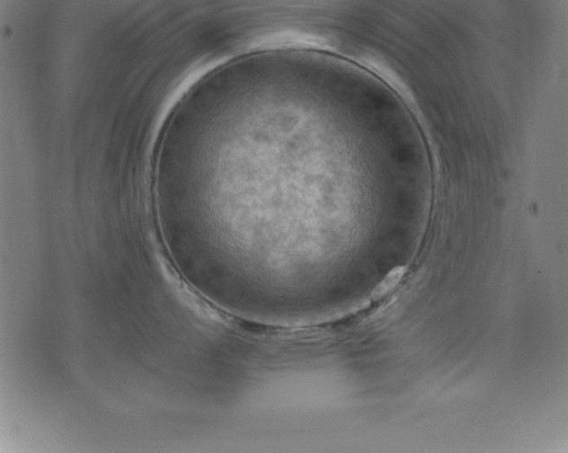 X0000075831008200609221635