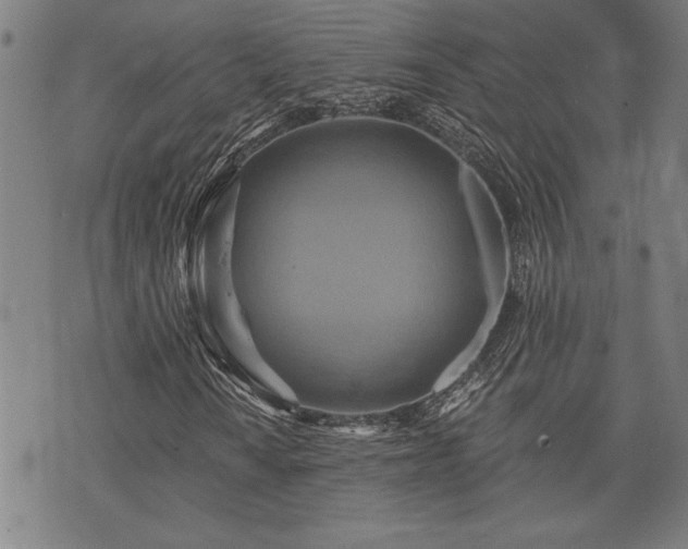 X0000075831010200609221634