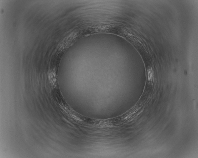 X0000075831011200609221634