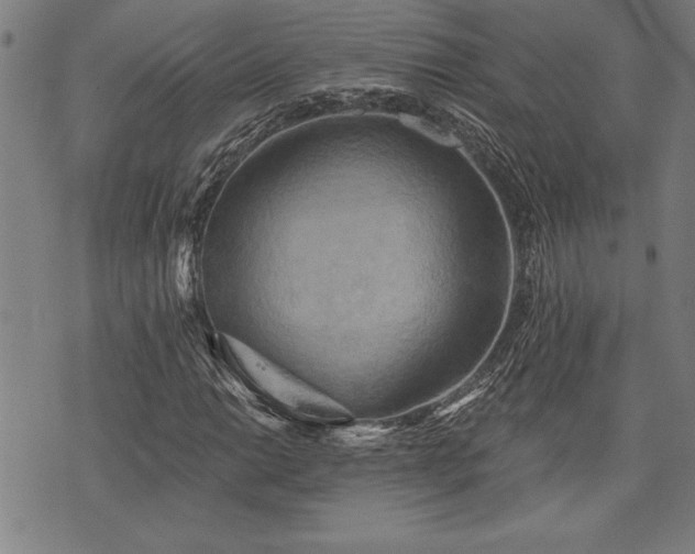 X0000075831014200609221634