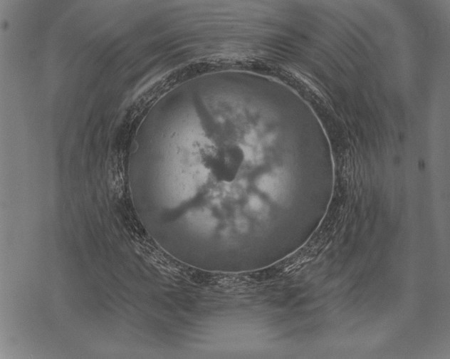 X0000075831015200609221634