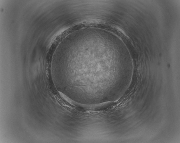 X0000075831016200609221634