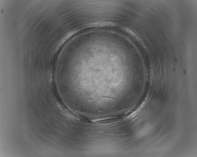 X0000075831017200609221634