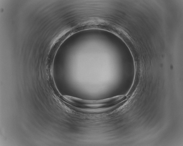 X0000075831018200609221634