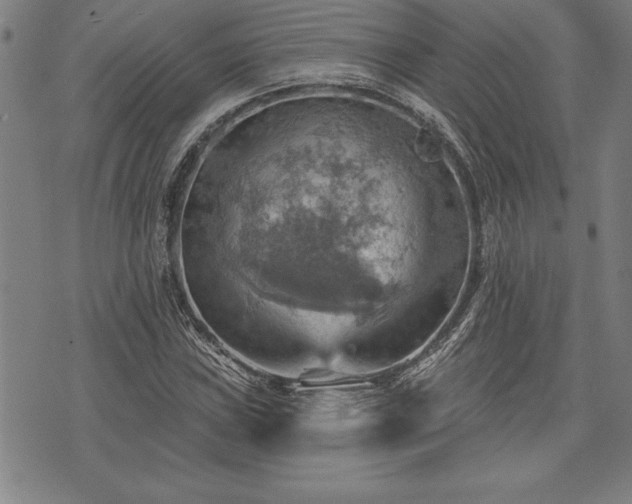 X0000075831019200609221634