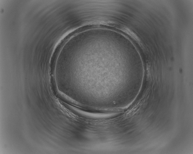 X0000075831020200609221634