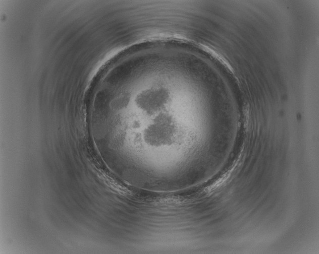 X0000075831021200609221634