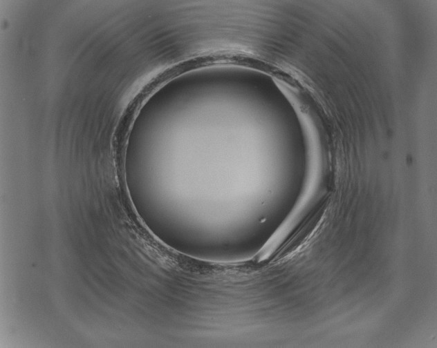 X0000075831022200609221634