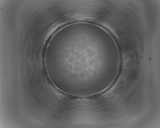 X0000075831023200609221634