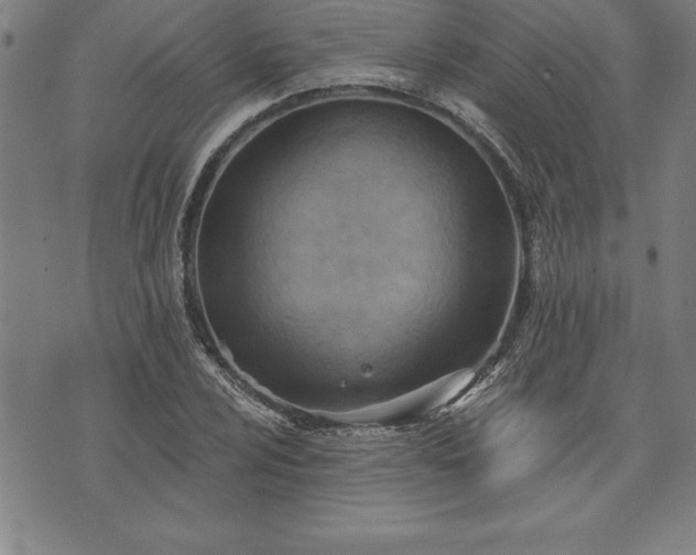 X0000075831024200609221634