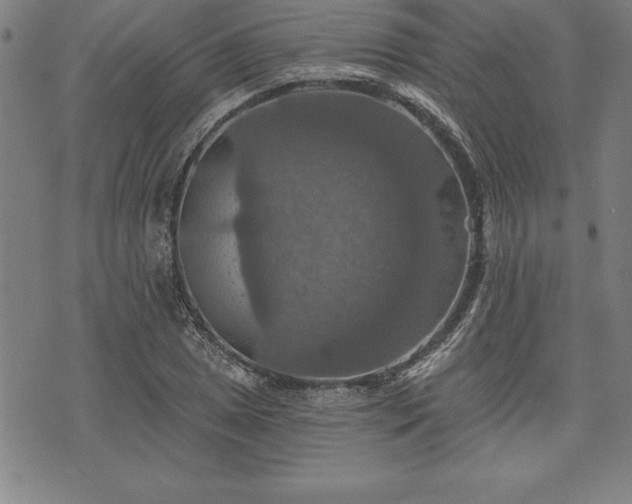 X0000075831025200609221634