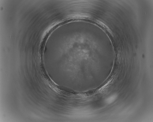 X0000075831027200609221635