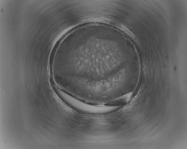 X0000075831028200609221635