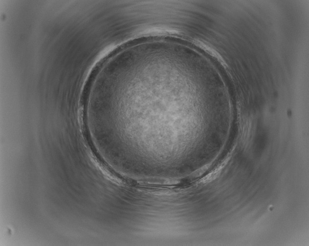 X0000075831029200609221635