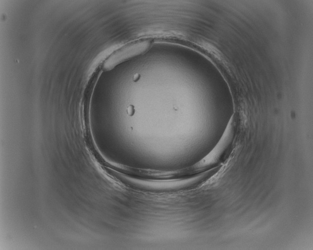 X0000075831030200609221635