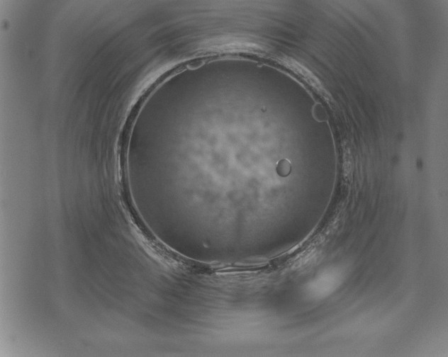 X0000075831031200609221635