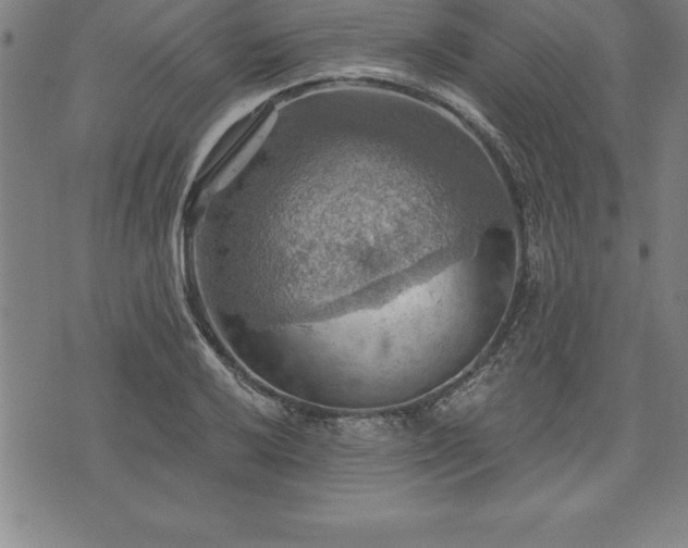 X0000075831032200609221635