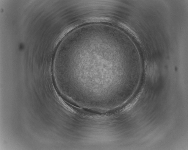 X0000075831033200609221635