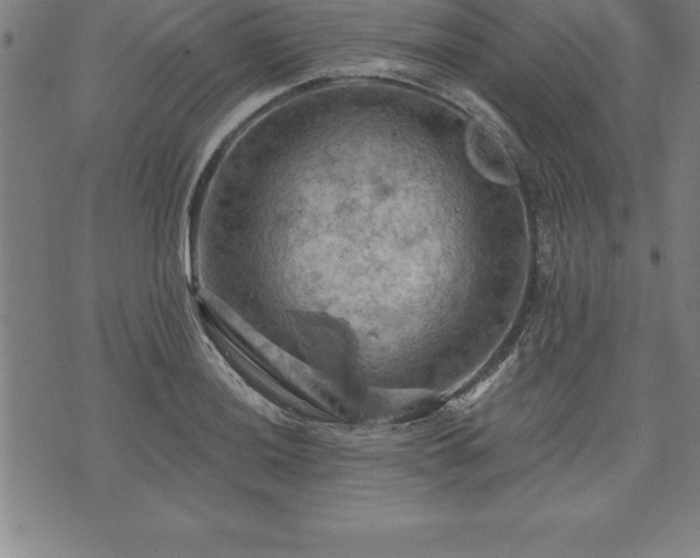 X0000075831036200609221635