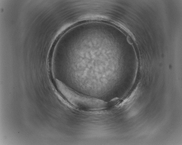 X0000075831037200609221635