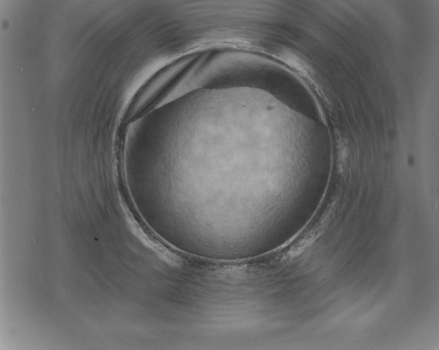 X0000075831038200609221635