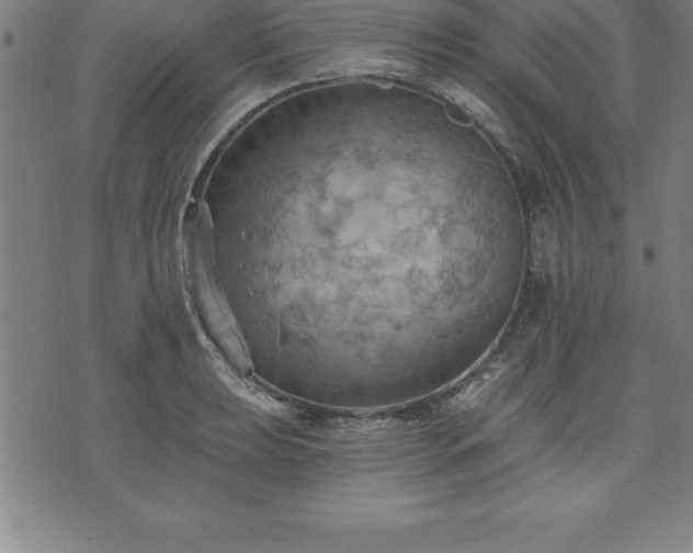 X0000075831039200609221635