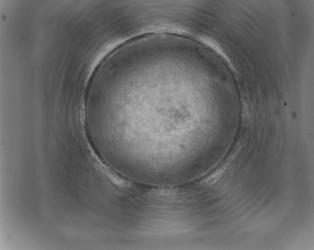 X0000075831040200609221635