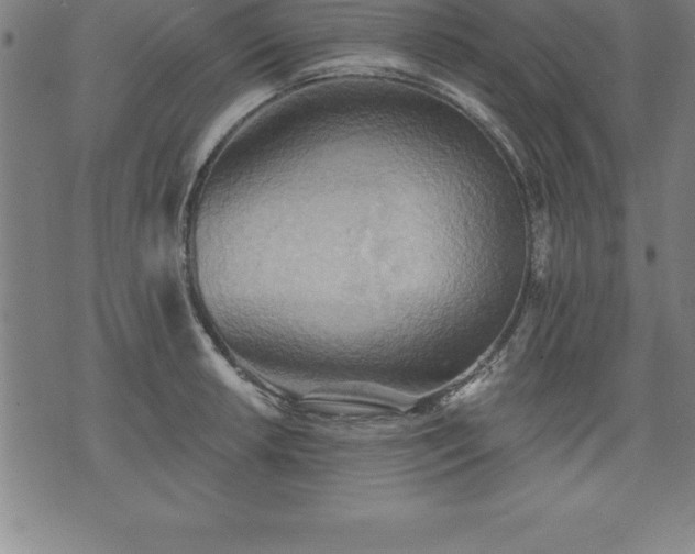 X0000075831042200609221635