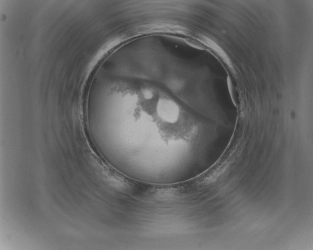 X0000075831043200609221635