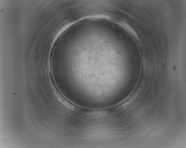 X0000075831044200609221635