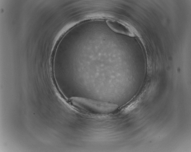 X0000075831045200609221635