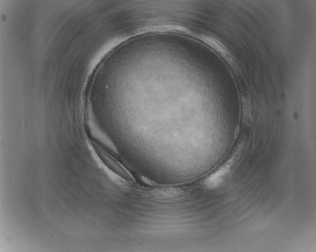 X0000075831046200609221635