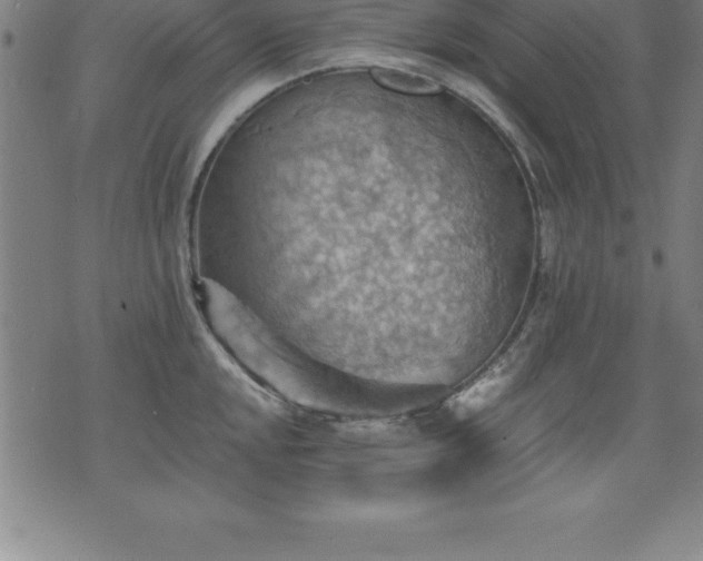 X0000075831048200609221635