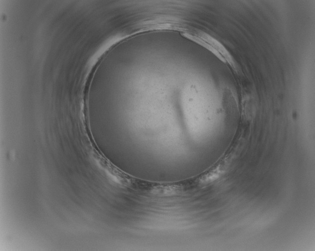 X0000075831051200609221635