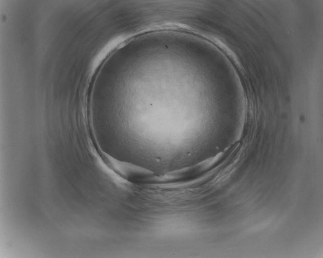 X0000075831054200609221635