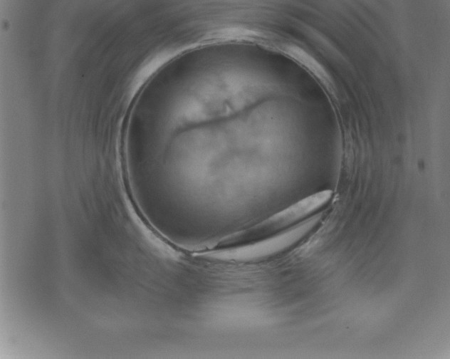 X0000075831055200609221635