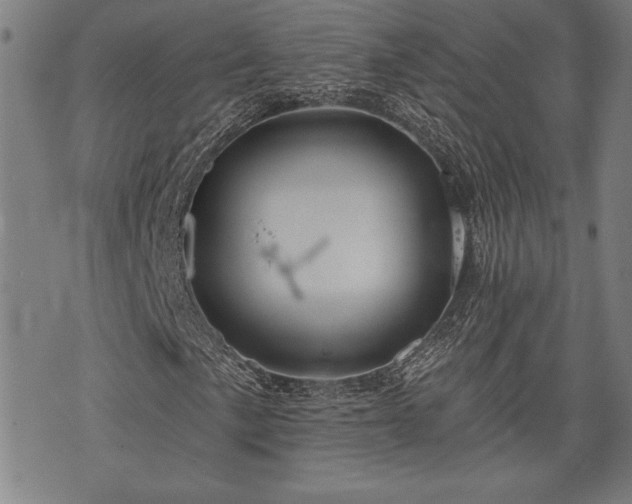 X0000075831057200609221634