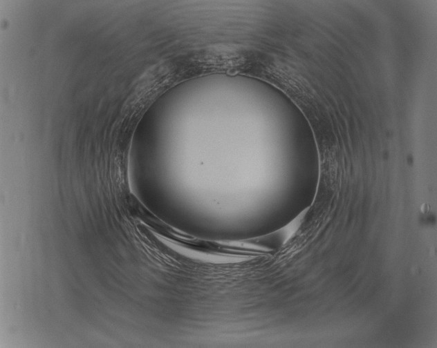 X0000075831058200609221634