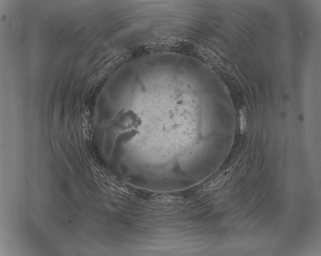 X0000075831059200609221634