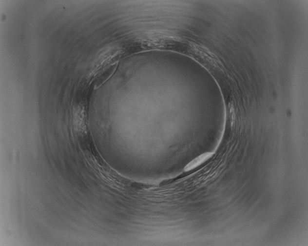 X0000075831060200609221634