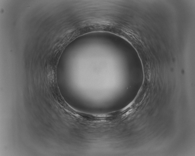 X0000075831061200609221634