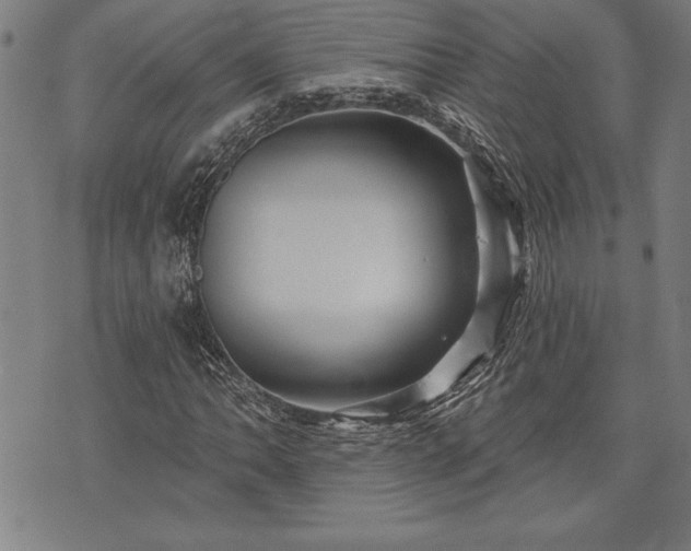 X0000075831062200609221634