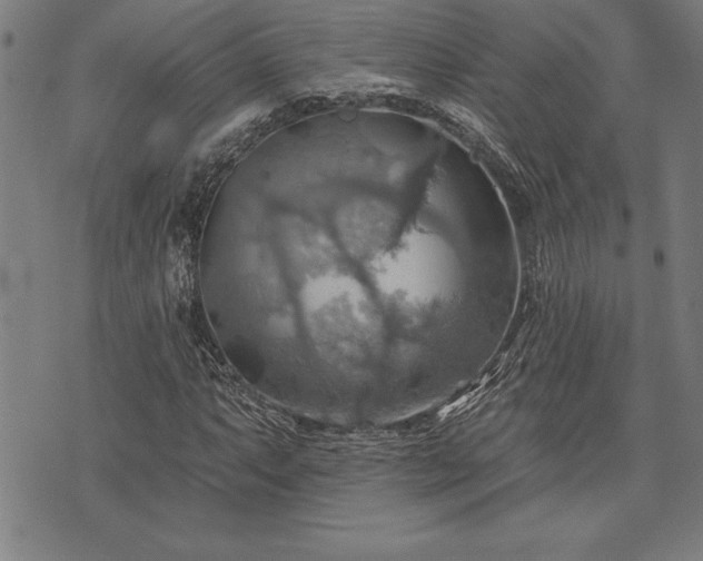 X0000075831063200609221634