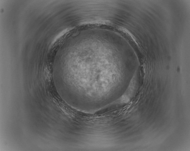 X0000075831064200609221634