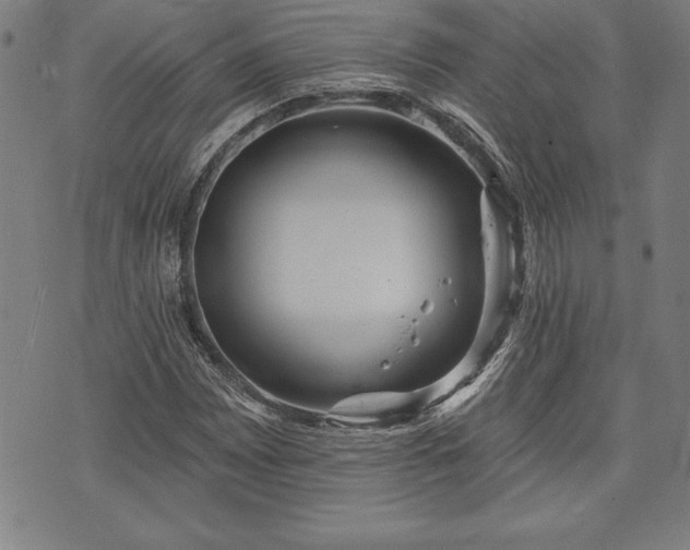 X0000075831065200609221634