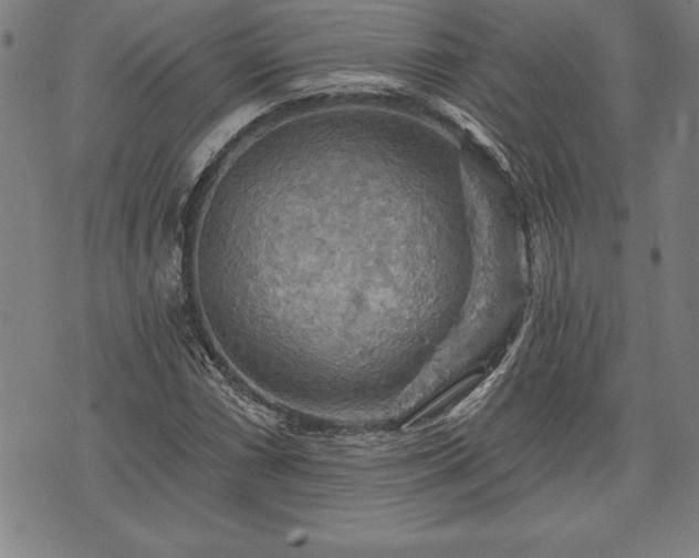 X0000075831066200609221634