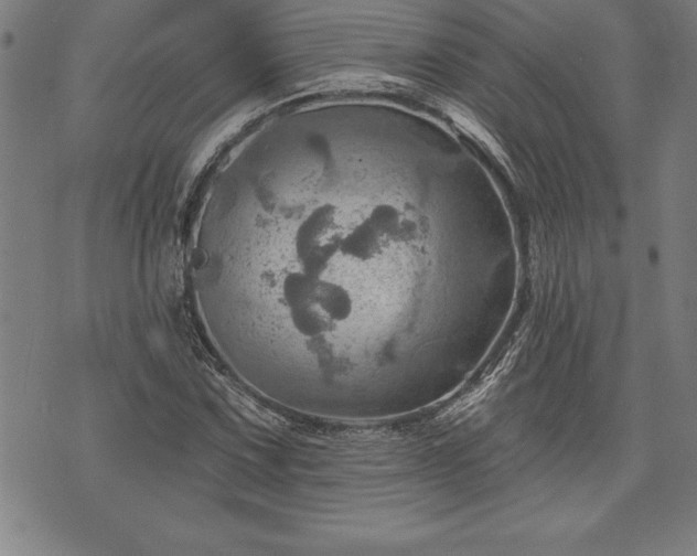 X0000075831067200609221634