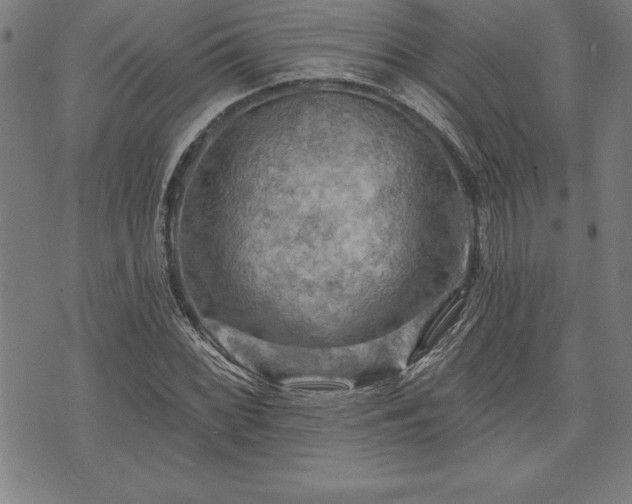 X0000075831068200609221634