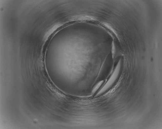 X0000075831071200609221634